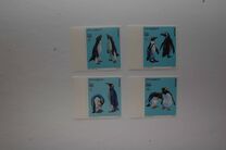 [Penguins, type AGK]