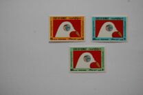 [International Day of Solidarity with Palestinian People, Tip VG]