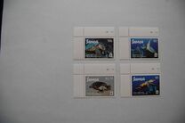 [WWF - Hawksbill Turtle, Tip AUM]