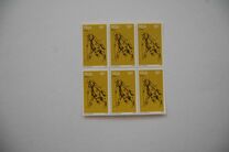 [The 100th Anniversary of Polo in South Africa - Fluorescent Paper, tipas OZ]