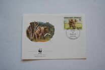[Endangered Animals - African Elephant, type AEC]