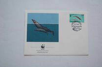 [North Atlantic Whales, type GJ]