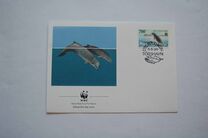 [North Atlantic Whales, type GJ]