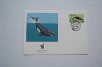 [North Atlantic Whales, type GJ]