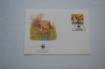 [Red Lechwe, type PO]