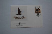 [Endangered Species - Ascension Frigatebird, ประเภท QE]