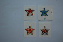 [Starfish - Self-Adhesive, type XC]
