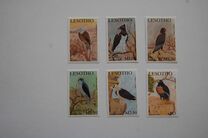 [Birds of Prey, type BOR]