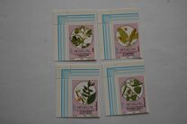 [Medicinal Plants, type AIK]