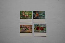 [Moths, type DOS]