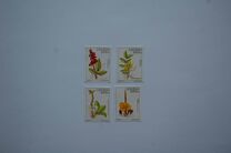 [Medicinal Plants, Typ ADK]