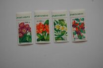 [Ornamental Plants, type HUM]