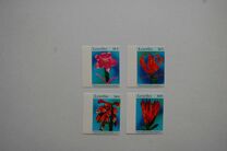 [African Flowers, type BJB]