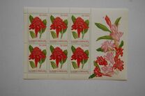 [Porcelain Roses, type BAL]