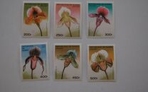 [Orchids, тып ATH]
