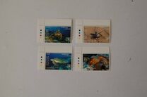 [Marine Life - Turtles of the World, Tip AAS]
