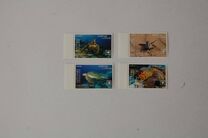 [Marine Life - Turtles of the World, Tip AAS]