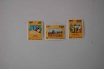 [Cultivation of Rice, Tip AIN]