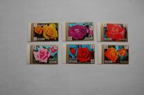 [Rose Varieties, type ADX]