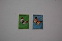 [Butterflies, type BX]