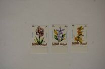 [Flowers, type YO]