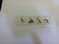 [Rare Birds, Вид BV]