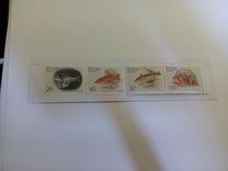 [Fish, Typ CN]
