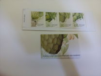 [Fruits and Plants of Subtropic region, tipas CT]