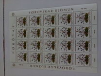 [Plantas silvestres., tipo AN]