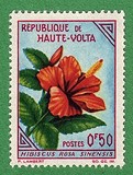 [Flowers, Tipe AZ]