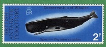 [Conservation of Whales, Tipi AX]