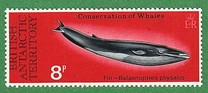 [Conservation of Whales, Tipi AY]