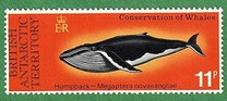 [Conservation of Whales, Tipi AZ]