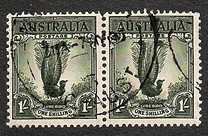 [Superb Lyrebird, тип N]