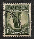 [Superb Lyrebird, тип N]