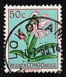 [Fiori - Tipografia: Courvoisier (Helio Courvoisier) S. A., Scrivi EI]