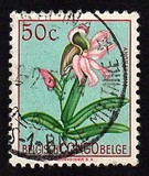 [Fiori - Tipografia: Courvoisier (Helio Courvoisier) S. A., Scrivi EI]