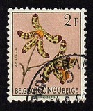 [Fiori - Tipografia: Courvoisier (Helio Courvoisier) S. A., Scrivi EO]