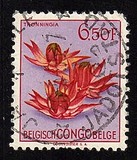 [Fiori - Tipografia: Courvoisier (Helio Courvoisier) S. A., Scrivi ES]