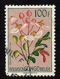 [Fiori - Tipografia: Courvoisier (Helio Courvoisier) S. A., Scrivi EY]