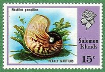 [Flora and Fauna, tip GG]