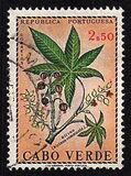 ["Produce of Cape Verde Islands", тип DG]