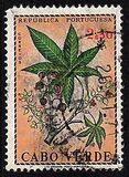 ["Produce of Cape Verde Islands", тип DG]