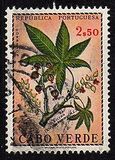 ["Produce of Cape Verde Islands", тип DG]
