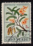 ["Produce of Cape Verde Islands", тип DK]