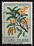 ["Produce of Cape Verde Islands", тип DK]
