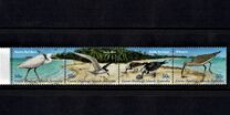 [Shoreline Birds, type OV]