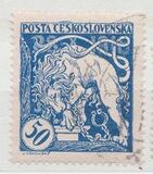 [Definitives - The 1st Anniversary of Czezhoslovak Independence, type J19]