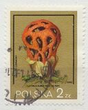 [Protected Poisonous Mushrooms, タイプ CHV]
