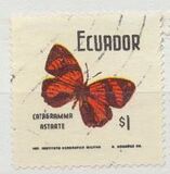 [Butterflies, type BBI]